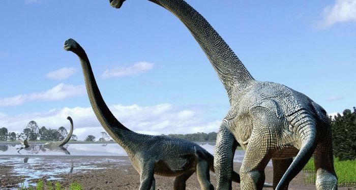 Avoiding architectural extinction: The hazards and joys of interdisciplinary architectural practice and&nbsp;research.