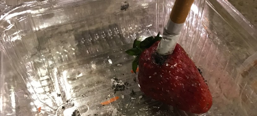 Sex, Drugs and Rock and Roll: Online Culture, Universities and the Architecture&nbsp;School.