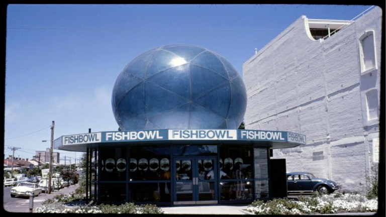 Boyd_Fishbowl