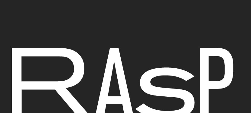 Support RASP: Six Myths about Architectural research and&nbsp;practice.